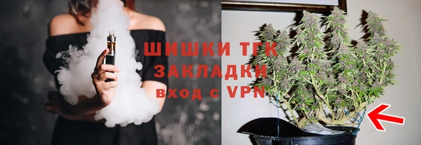 индика Балабаново