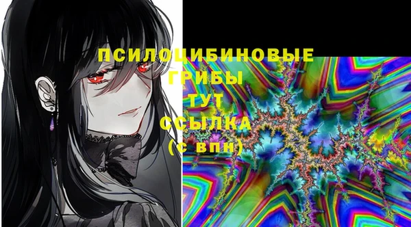 индика Балабаново