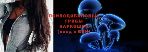 индика Балабаново