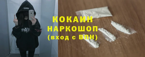 индика Балабаново