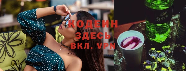 индика Балабаново