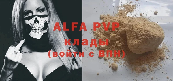 индика Балабаново