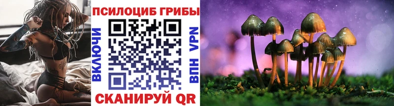 блэк спрут вход  Черепаново  Галлюциногенные грибы GOLDEN TEACHER 