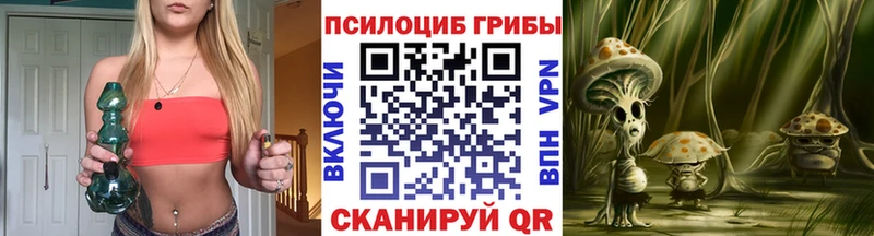 Псилоцибиновые грибы мицелий Черепаново